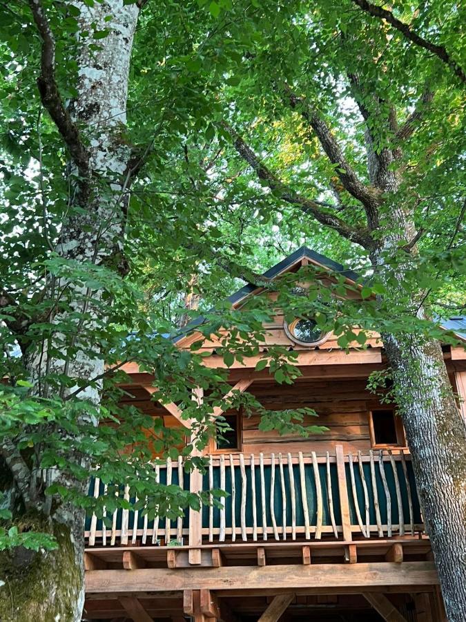 Charmante Cabane Dans Les Arbres Avec Jacuzzi Et Sauna Boismorand Exterior foto